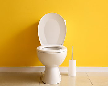 toilet repair and replace